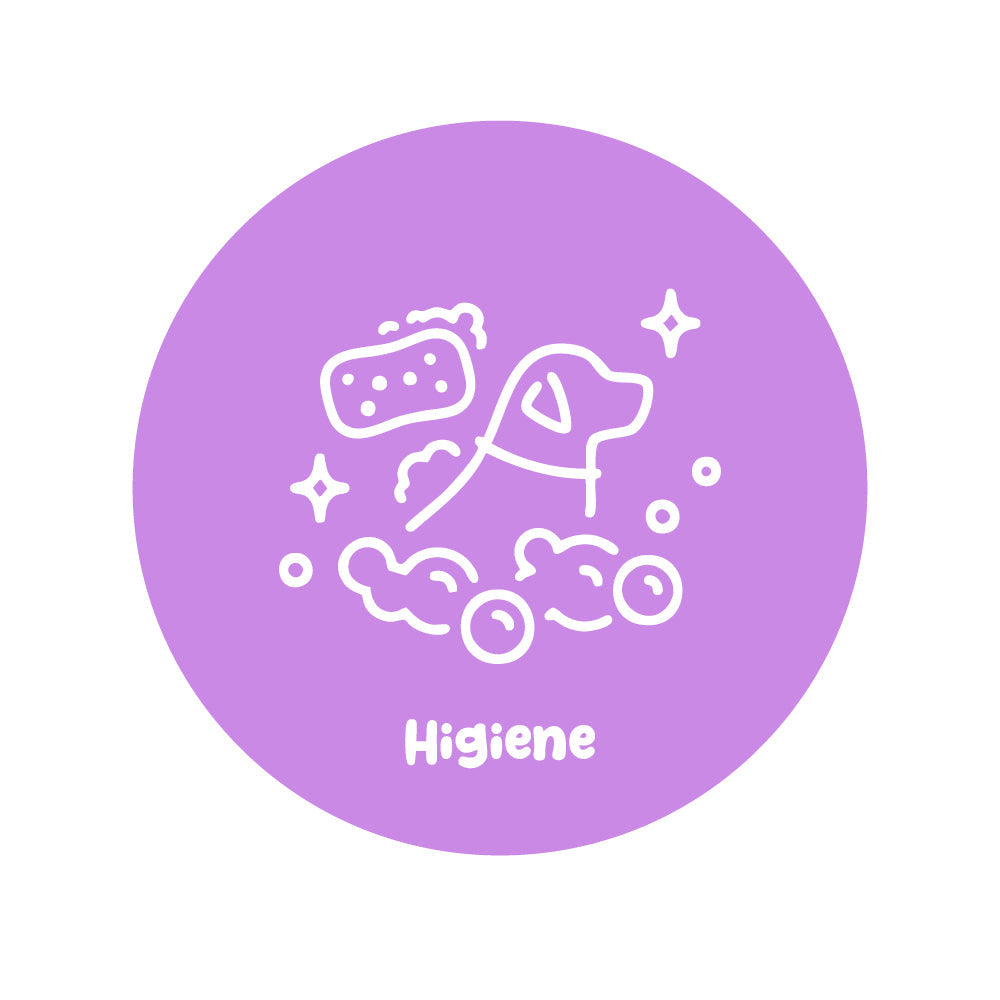 Higiene