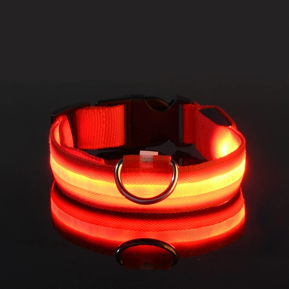 Collar con Luz Led