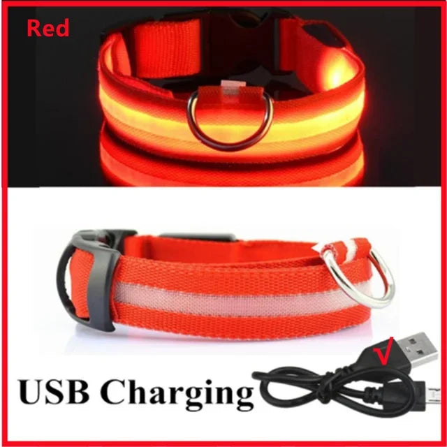 Collar LED Recargable