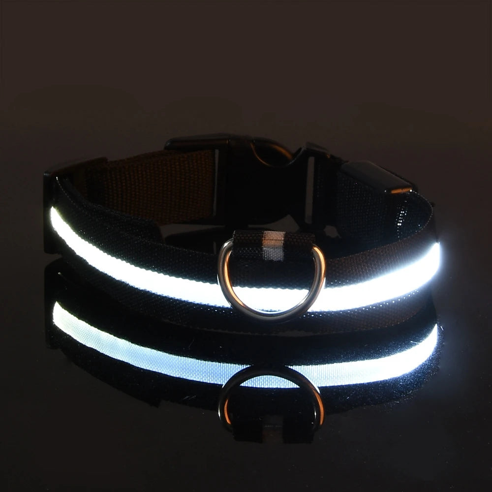 Collar con Luz Led