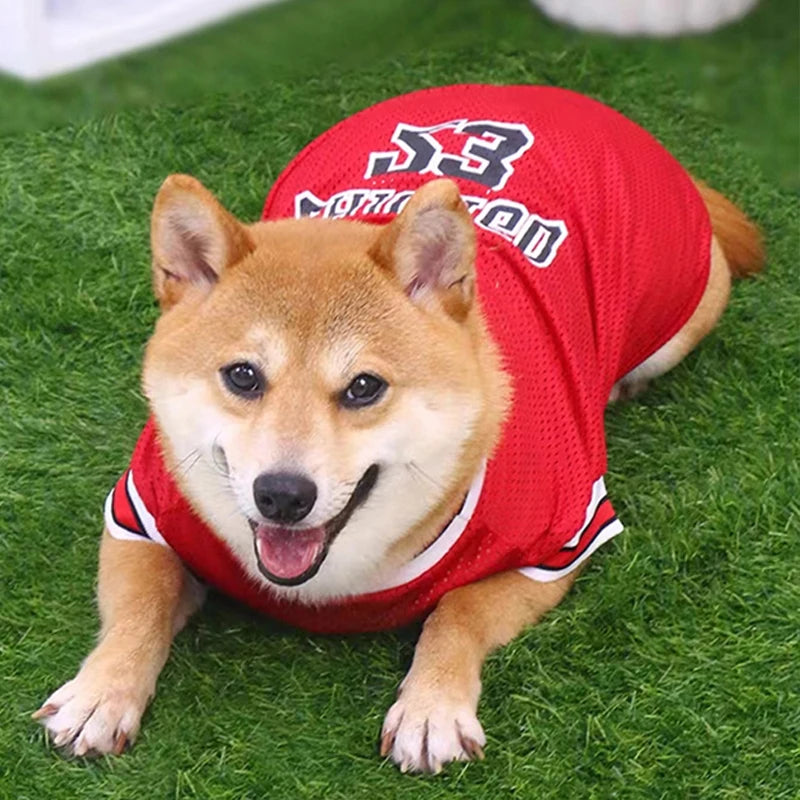Playera Deportiva para Perro