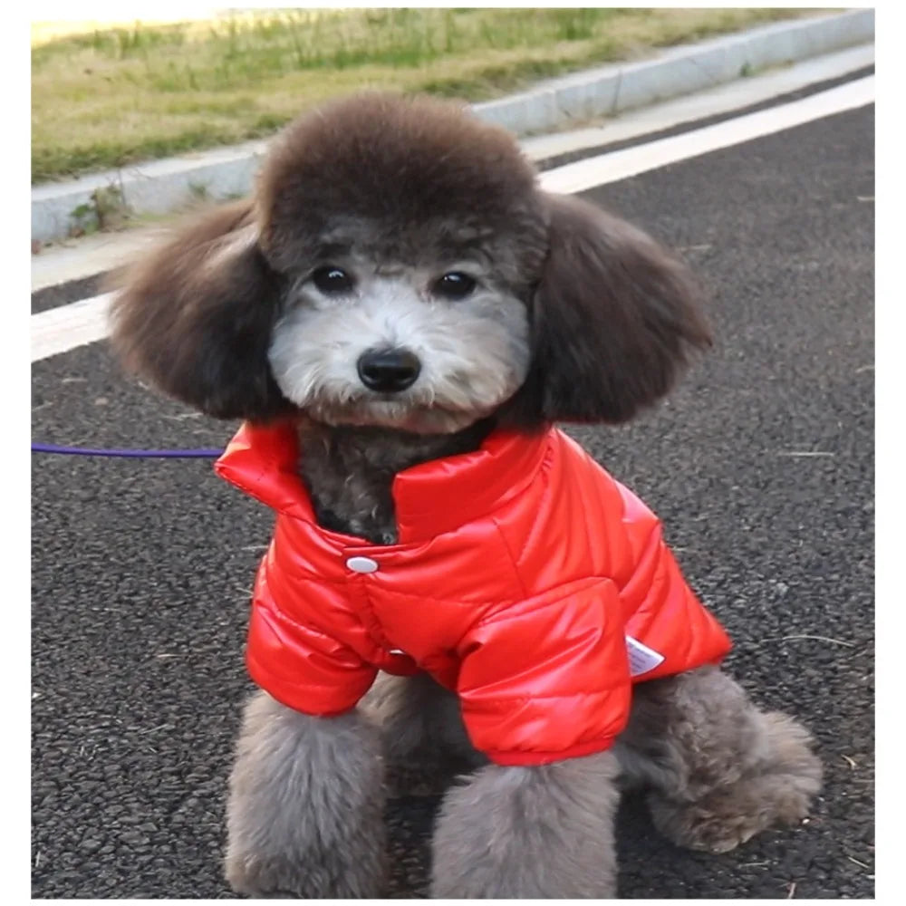 Chaleco Impermeable