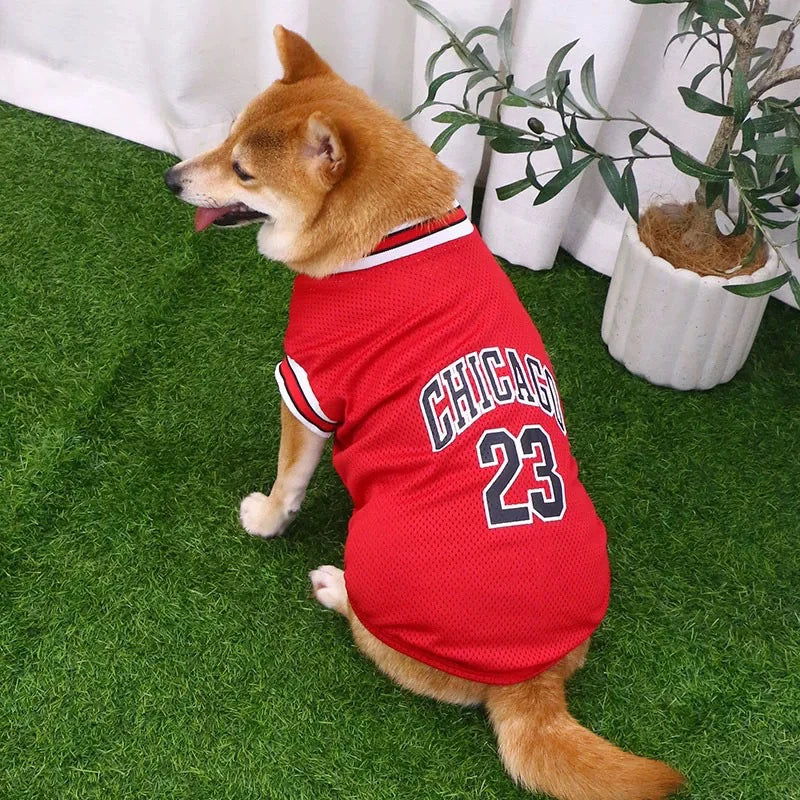 Playera Deportiva para Perro