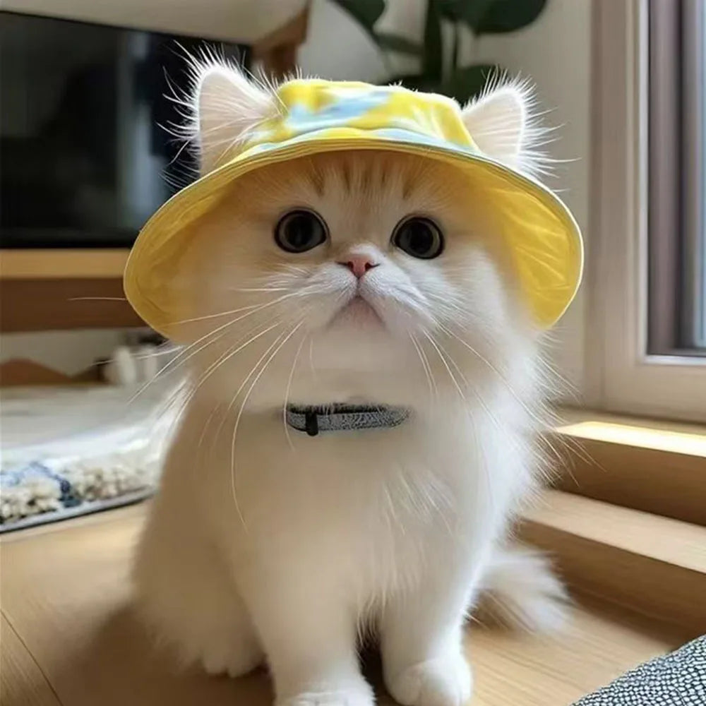 Sombrero de Verano
