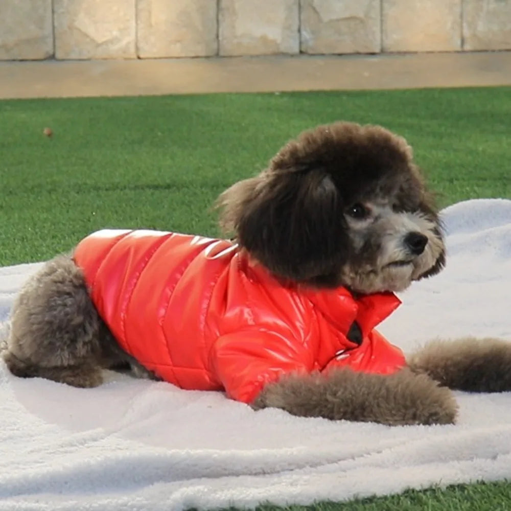 Chaleco Impermeable