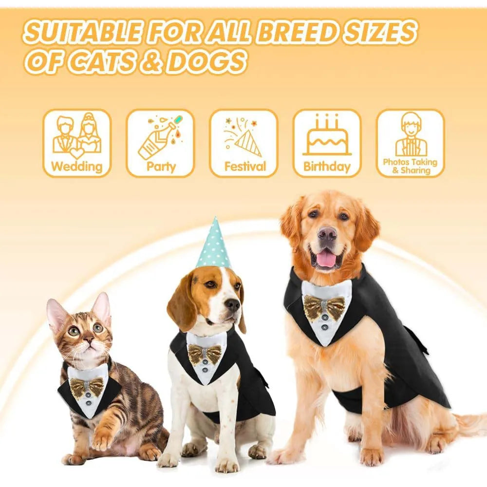 Set de Smoking con Moño