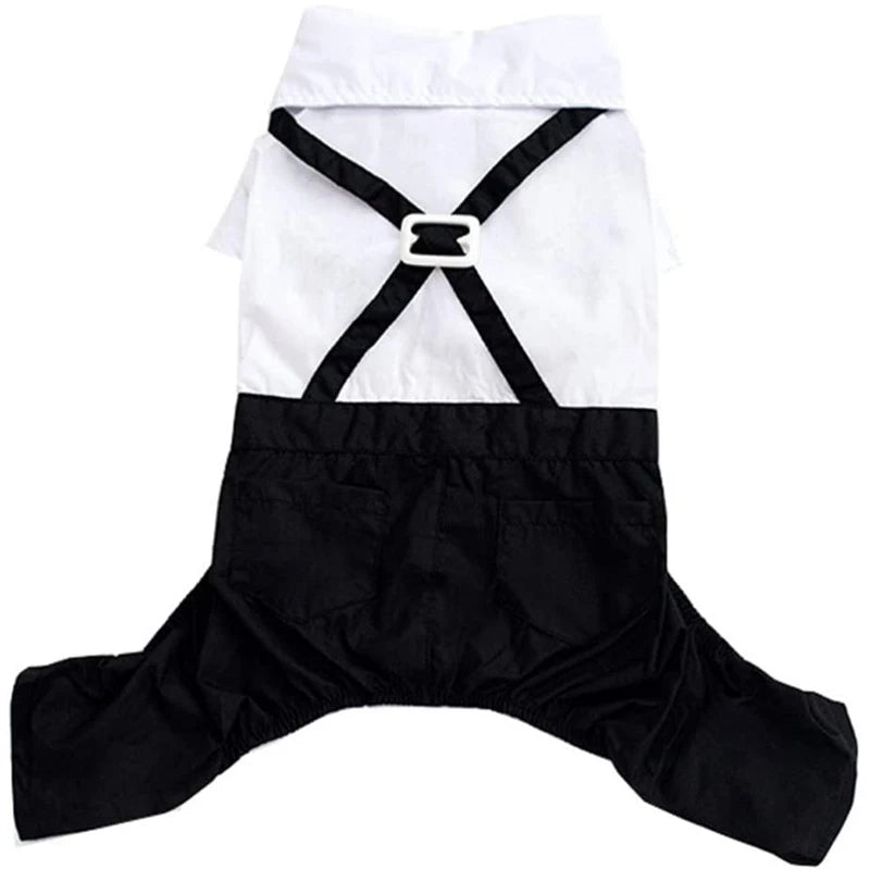 Tuxedo Formal con Moño