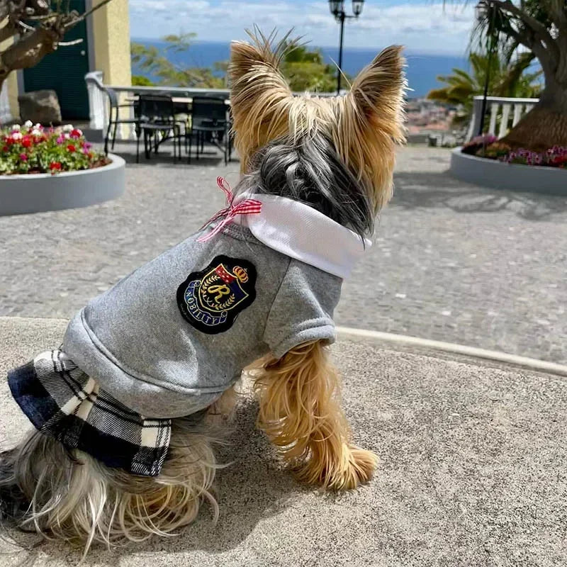 Conjunto tipo Uniforme