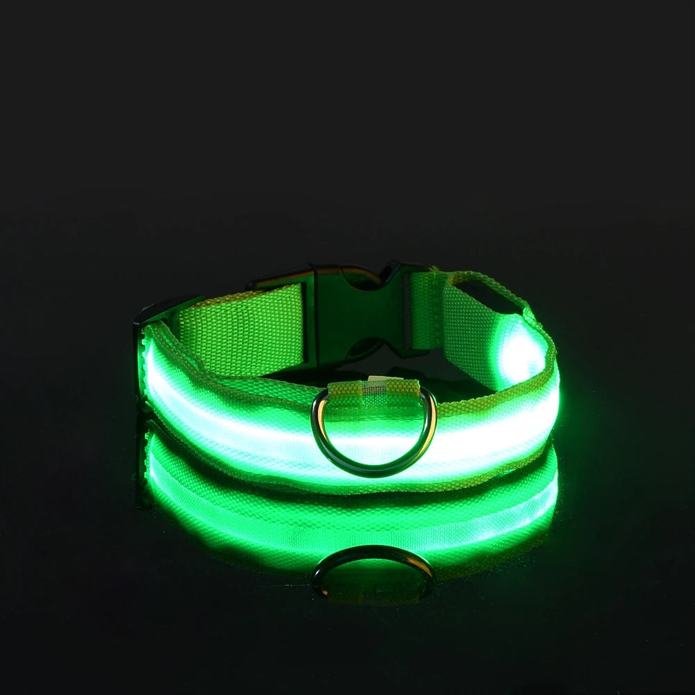 Collar con Luz Led