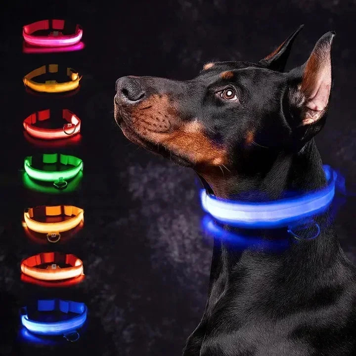 Collar LED Recargable