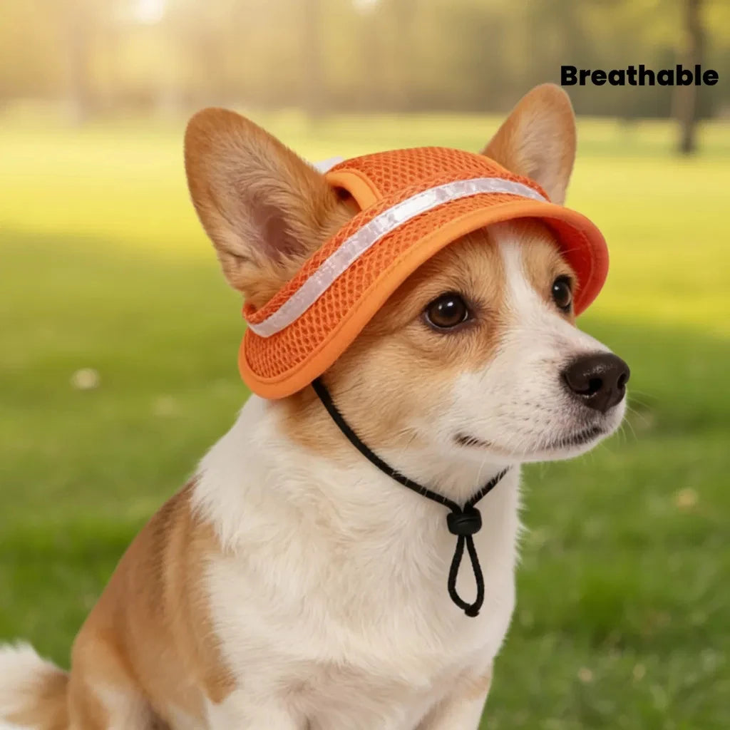 Sombrero para Mascotas Primavera-Verano