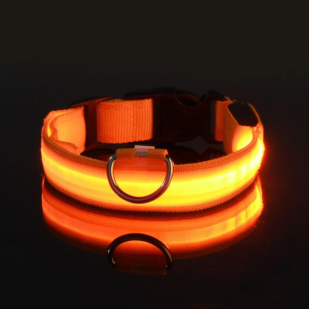 Collar con Luz Led
