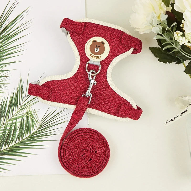 Arnés Acolchado con Correa para Conejos y Gatos