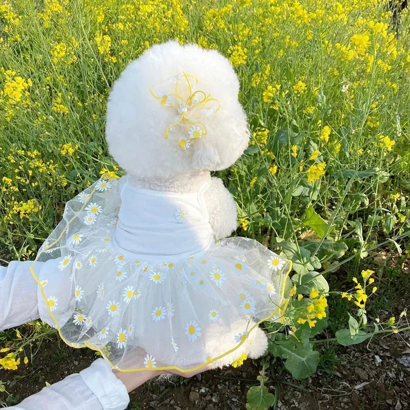 Falda Princesa de Verano