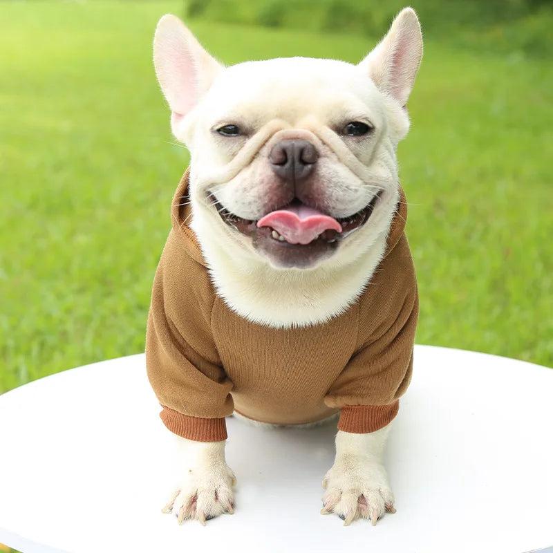 Hoddie Básico