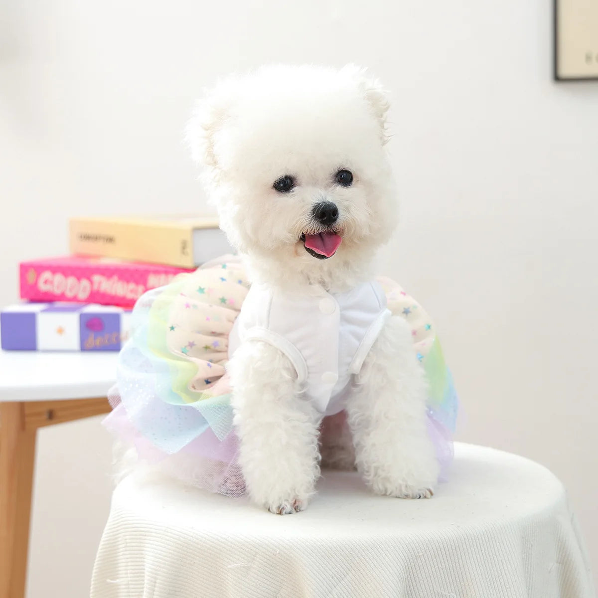 Chaleco Blanco con Falda Tutu