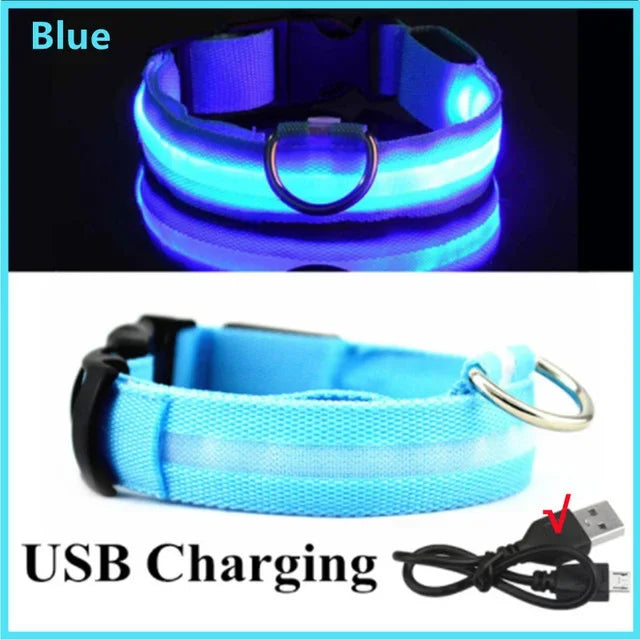 Collar LED Recargable