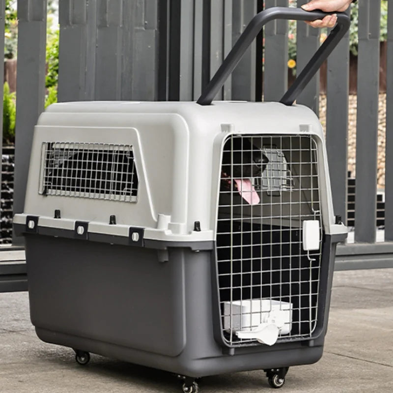 Transportadora Portátil con Ruedas