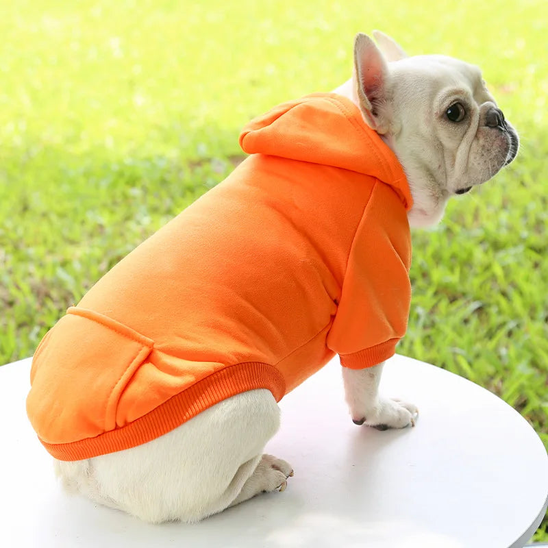 Hoddie Básico