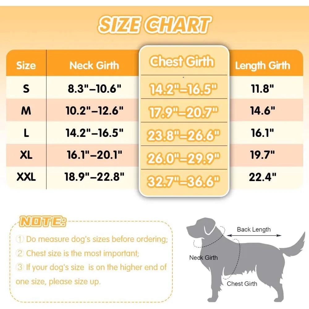 Set de Smoking con Moño