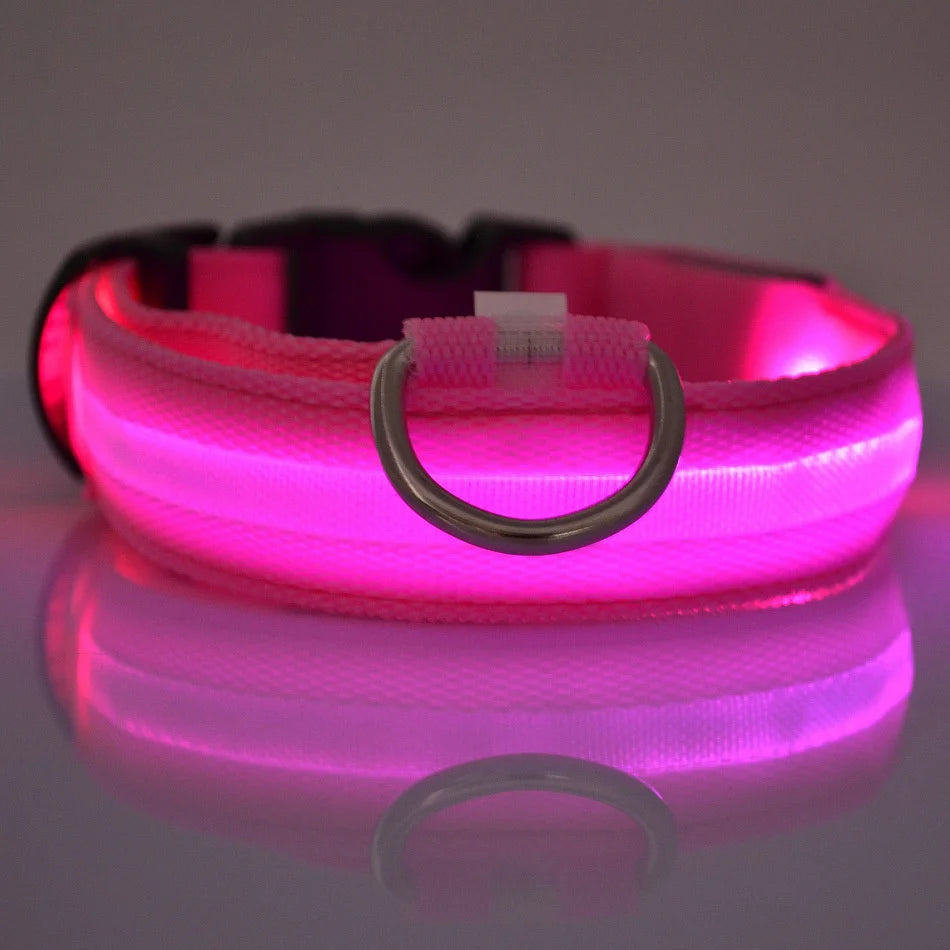 Collar con Luz Led