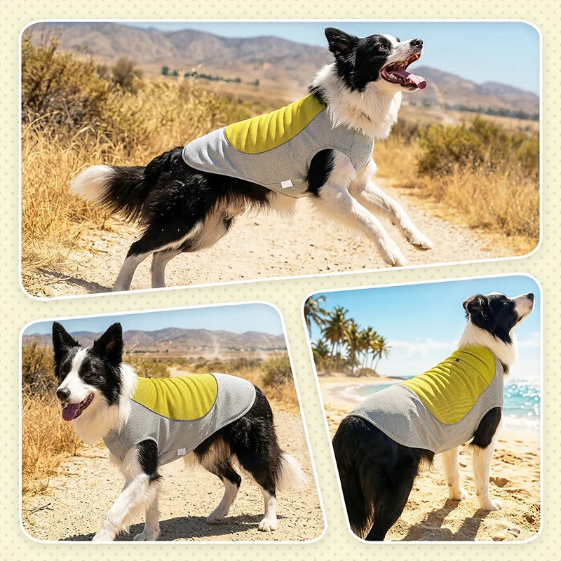 Chaleco con bolsa para Ice Pack