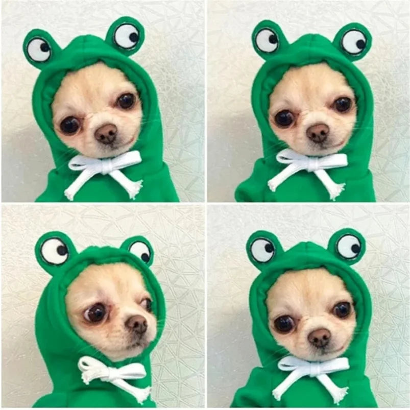 Suéter con gorro de Ranita