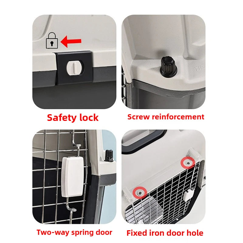 Transportadora Portátil con Ruedas