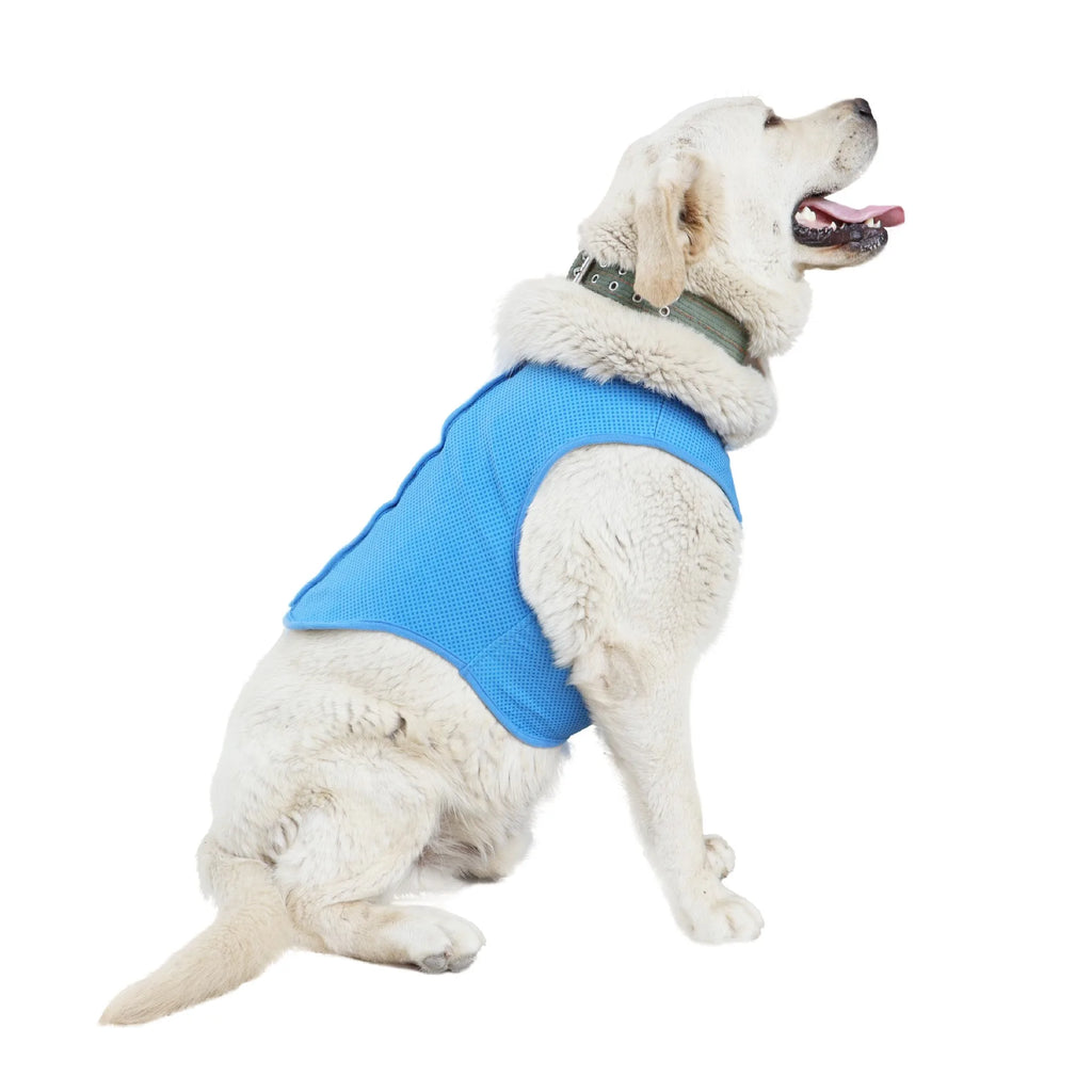 Chaleco refrescante para perro