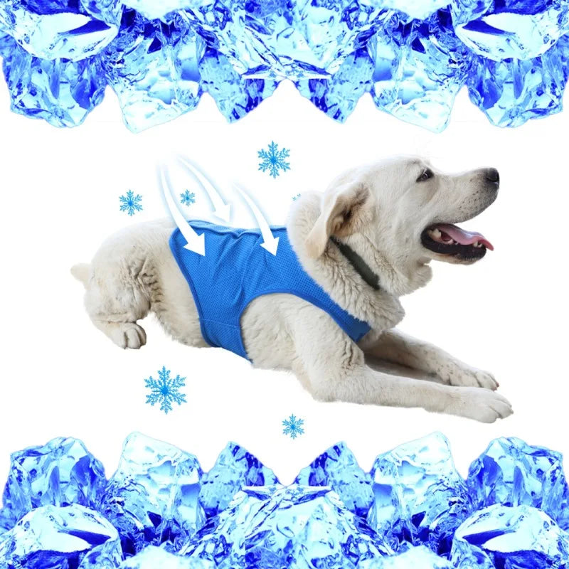 Chaleco refrescante para perro