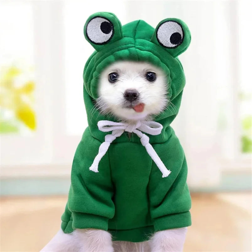 Suéter con gorro de Ranita