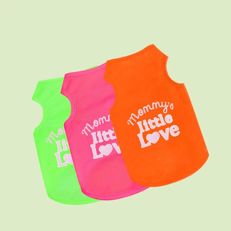 Chaleco NEON