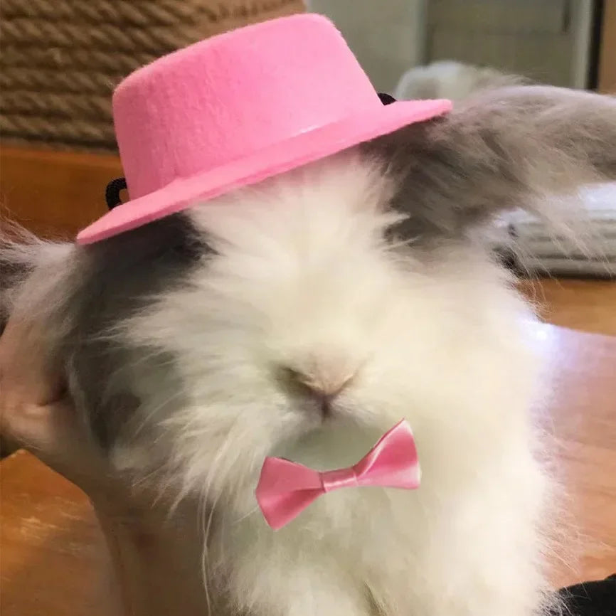 Set de Sombrero y Moño