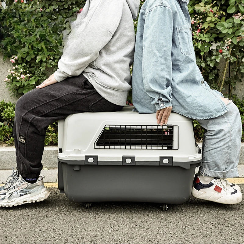 Transportadora Portátil con Ruedas