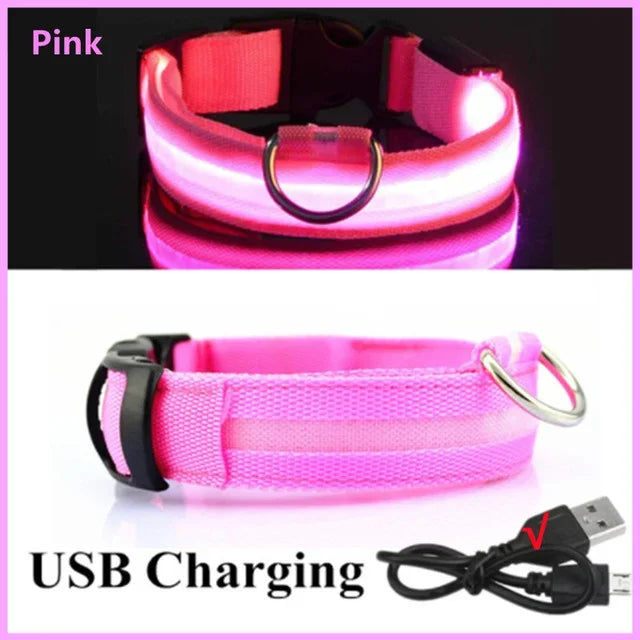 Collar LED Recargable