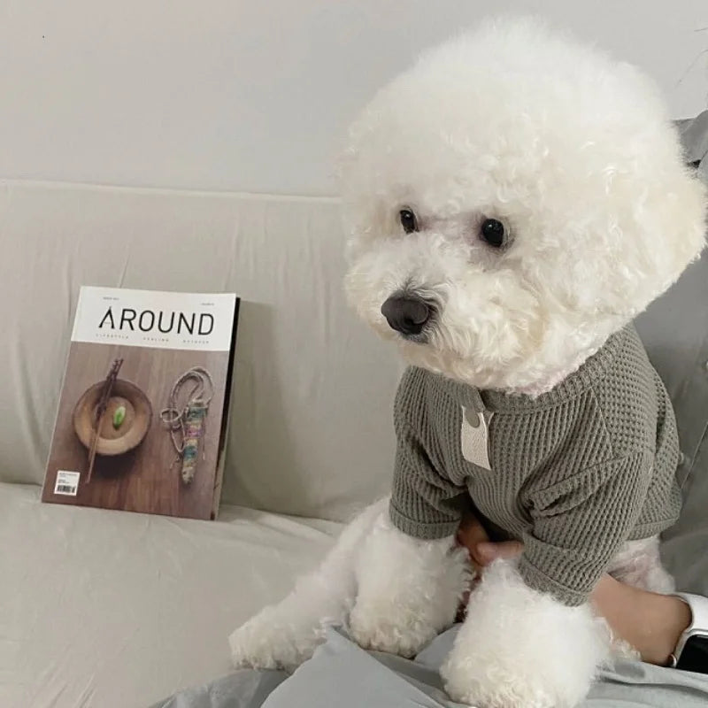 Camiseta con Diseño Elegante