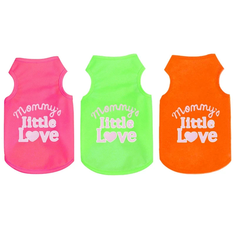 Chaleco NEON