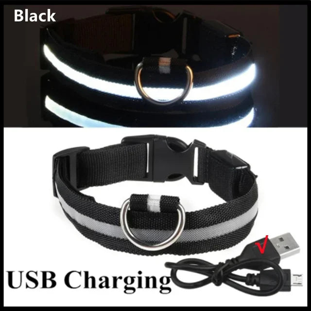 Collar LED Recargable