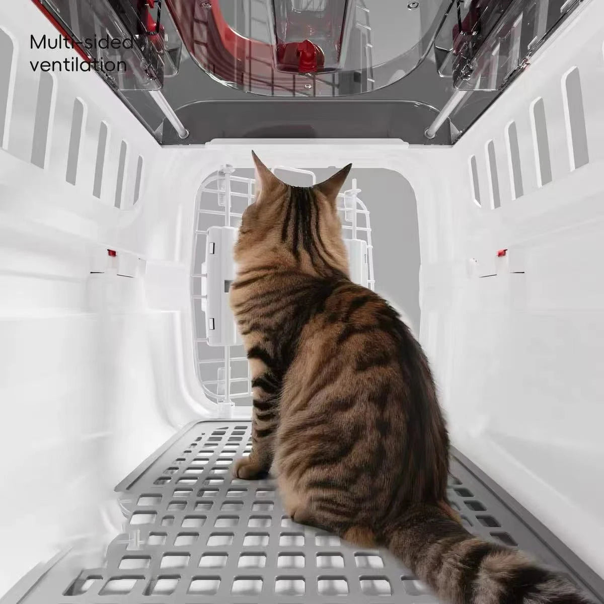 Transportadora para Gatos